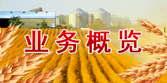 九游会·J9 - 中国官方网站 | 真人游戏第一品牌