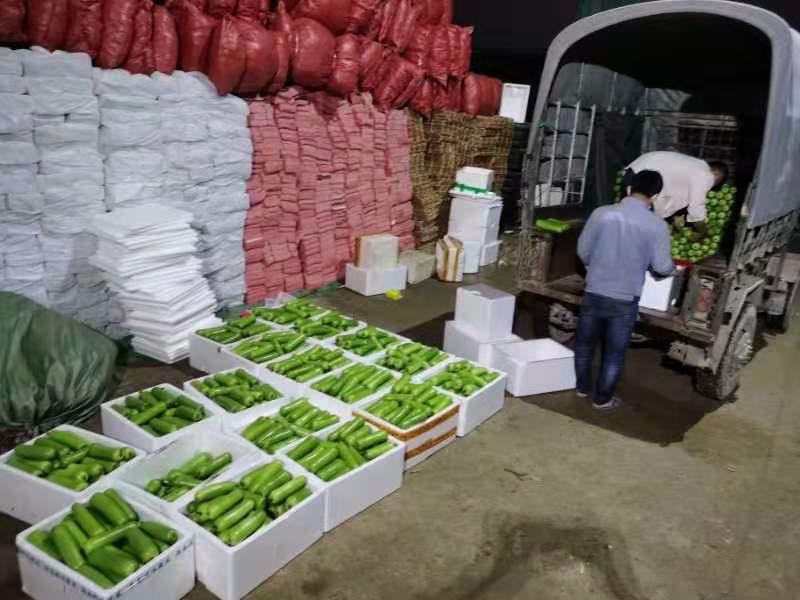 九游会·J9 - 中国官方网站 | 真人游戏第一品牌