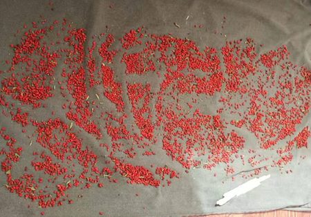 九游会·J9 - 中国官方网站 | 真人游戏第一品牌