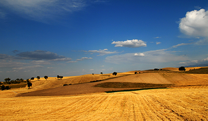 九游会·J9 - 中国官方网站 | 真人游戏第一品牌