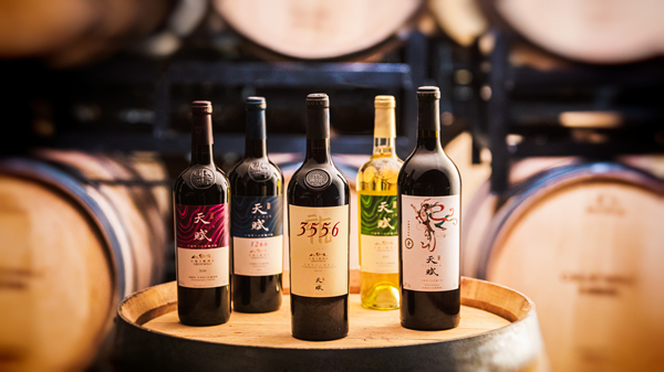 九游会·J9 - 中国官方网站 | 真人游戏第一品牌